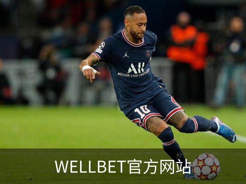 了解WELLBET官方网站